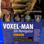 VOXEL-MAN 3D Navigators