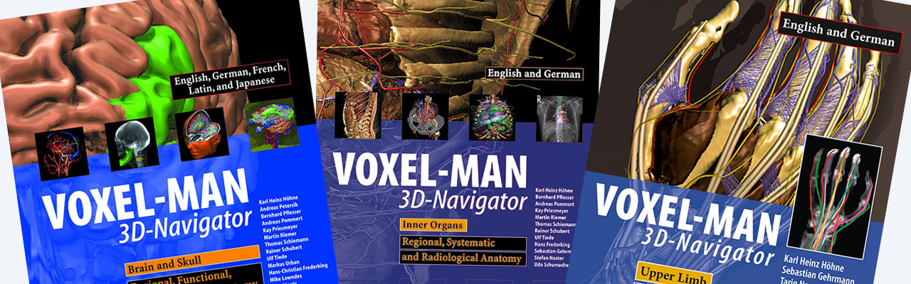 VOXEL-MAN 3D Navigator: Brain and Skull
