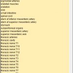 List of anatomical structures