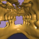 Oral cavity of the Virtual Mummy seen from inside